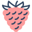 Raspberry icon