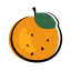 Orange icon