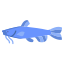 Cat Fish icon