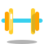 Dumbbell icon