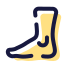 Ankle icon