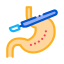 Stomach Sample icon
