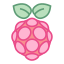 Raspberry Pi icon