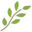 Branch icon