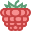 산딸기 icon