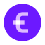 Евро icon