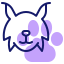 Lynx icon