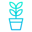 阳光下的植物 icon