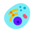 真核細胞 icon
