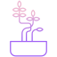 阳光下的植物 icon