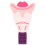 Larynx icon