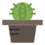 Cactus icon