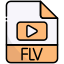 FLV icon