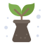 阳光下的植物 icon