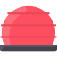 Bosu Ball icon