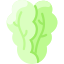 Cabbage icon