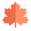 Maple Leaf icon