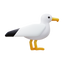 海鸥 icon