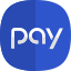 Samsung Pay icon