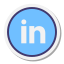 LinkedIn cerchiato icon