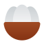 mangostão icon