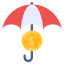 Financial Insurance icon