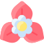 Bougainvillea icon