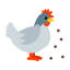 鶏に餌をやる icon