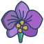 Orchidea icon