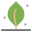 Leaf icon