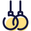 Acrobatic Rings icon