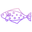 Hailbut Fish icon