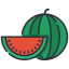 Water Melon icon