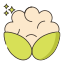 Cauliflower icon