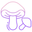 Porcini Mushroom icon