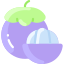 Mangosteen icon