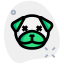Pug dog in neutral stage with eyes crossed icon