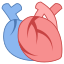 Corazón médico icon