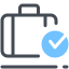 bagaglio controllato icon