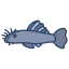 Ancistrus Fish icon