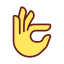 Fingers Holding Small Item icon