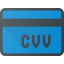 CVV icon