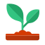 Sprout icon