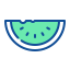 Fruit icon