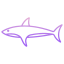 Shark Fish icon
