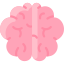 Cerveau icon