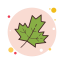 Maple Leaf icon