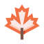 Maple leaf icon