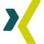 XING european career-oriented social networking website for professionals icon