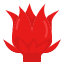 Hibiscus icon